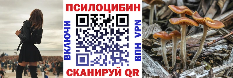 Галлюциногенные грибы мицелий  blacksprut ССЫЛКА  Благодарный 